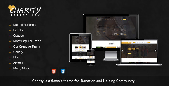 Charity Donation | Nonprofit / Fundraising HTML Template