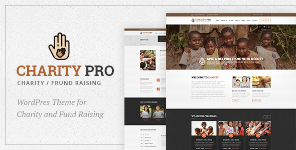 Charity Pro : Fund Raising WordPress Theme