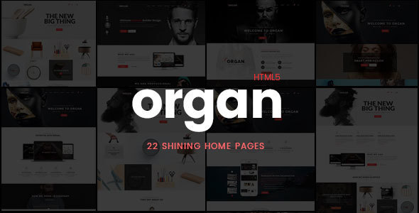 Finance HTML5 Responsive Website Template, Organ - Creative Multi-Purpose Business