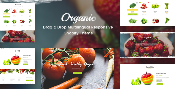 Organic - Drag & Drop Multilingual Responsive Shopify Theme