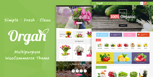Organ - Organic Store & Flower Shop WooCommerce Theme