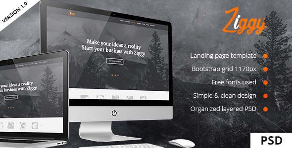 Ziggy - Landing Page PSD Template